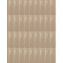 Carrelage Créatif Blanc Mat - 5x15cm - FV2702060