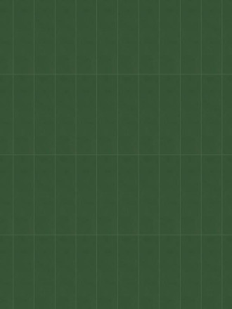 Carrelage Preston Rectangulaire Vert - 8x31.5cm - FV2702104