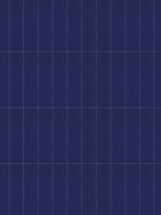 Carrelage Preston Rectangulaire Bleu - 8x31.5cm - FV2702105