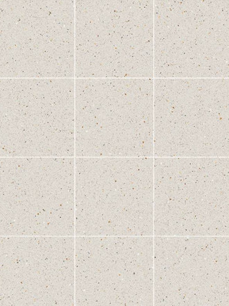 Carrelage  Aspect Terrazzo Blanc 20x20cm - R10 - FV2702141