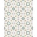 Carrelage Tara Etoile Verte - 22.3x22.3cm - FV2702164