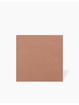 Carrelage Extérieur Pleine Masse Terracotta -R10- 31x31cm - FV2702194