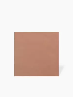 Carrelage Extérieur Pleine Masse Terracotta -R10- 31x31cm - FV2702194 