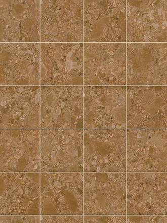 Carrelage Terrazzo Marron  - 60x60cm - FV2702226