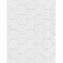 Carrelage Hexagonal Sur Maille Blanche - 27x28cm - FV2702426