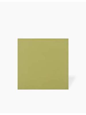 Carrelage Nuancier Mat Vert Pistache - 15x15cm - FV2702445
