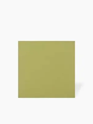 Carrelage Nuancier Mat Vert Pistache - 15x15cm - FV2702445