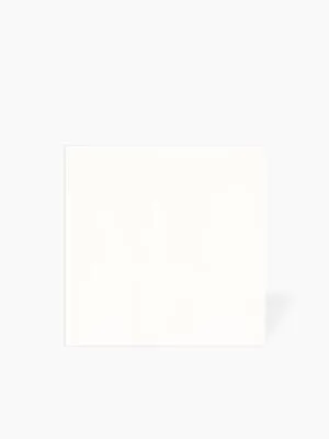Carrelage Monochrome Mural Blanc Mat - 15x15cm - FV2702522