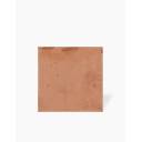 Carrelage Calandra - Terre Cuite Fait Main Base Beige Pale - 15x15cm - FV2702404