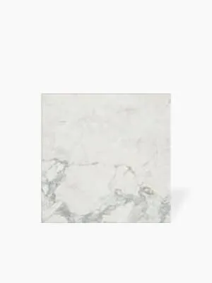 Carrelage Thassos Marbre Blanc Anti-Dérapant et Rectifié - 100x100cm - FV2702529