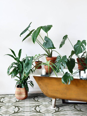 Carrelage floral Botanic Blue - BO9903002