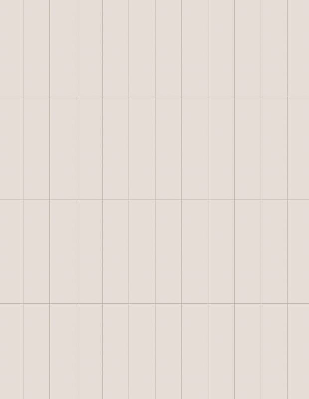 Carrelage Faience XL Beige - 7.5x30cm - FV2702094