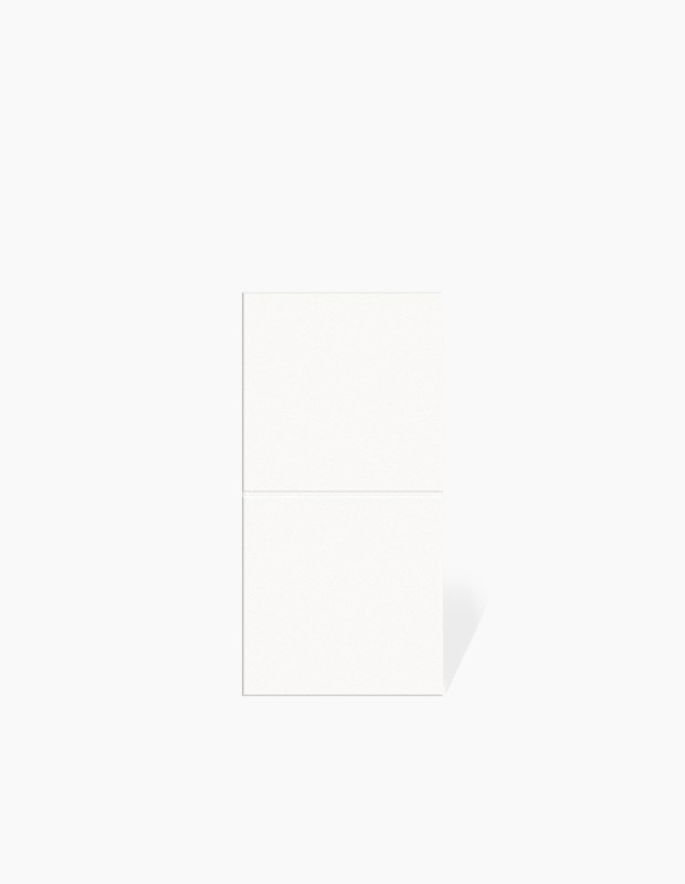 Carrelage blanc mat r10 - 10x20cm | NT2025316
