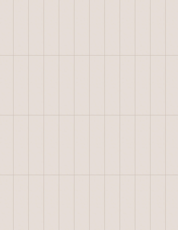 Carrelage Faience XL Beige - 7.5x30cm - FV2702094