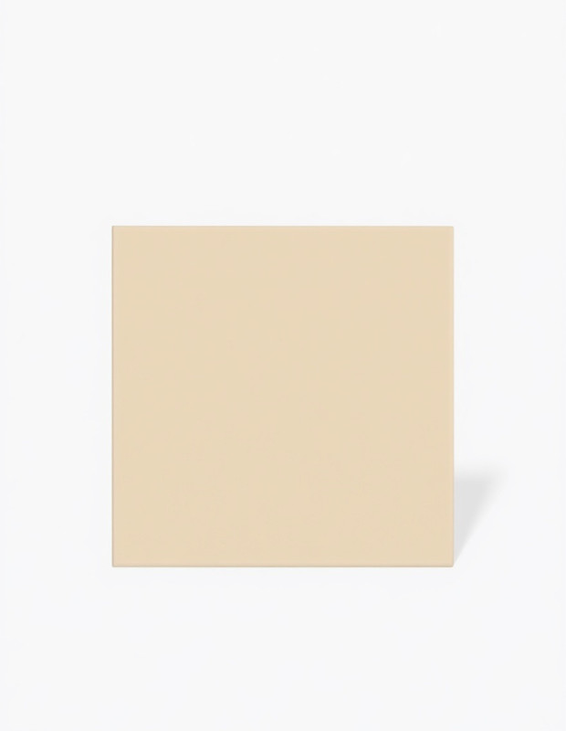 Carrelage beige mat - 15 x 15 cm | NT2025389