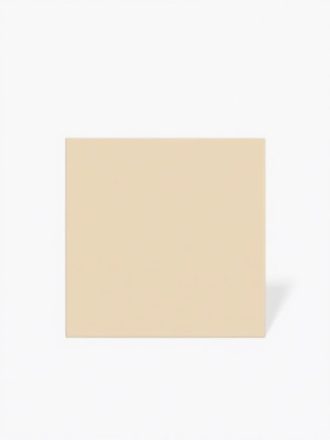 Carrelage beige mat - 15 x 15 cm | NT2025389 