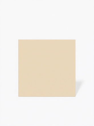Carrelage beige mat - 15 x 15 cm | NT2025389
