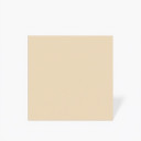 Carrelage beige mat - 15 x 15 cm | NT2025389