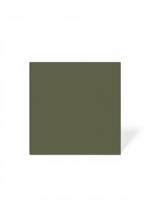 Carrelage vert 15x15 cm grès cérame | NT2025380 