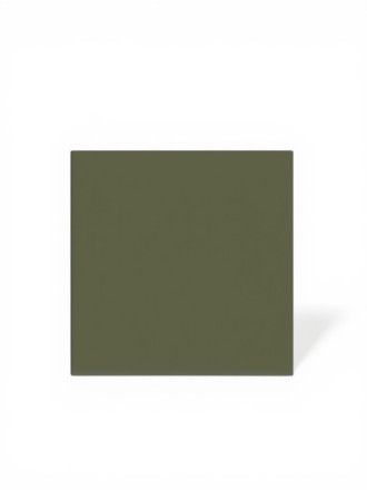 Carrelage vert 15x15 cm grès cérame | NT2025380