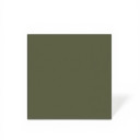 Carrelage vert grès cérame - 15 x 15 cm | NT2025380