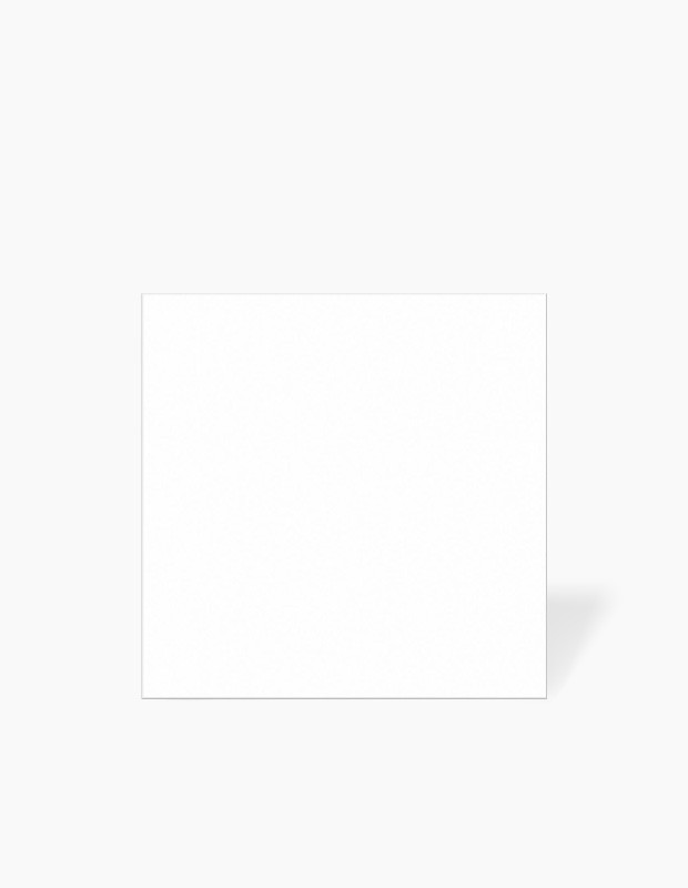 Carrelage blanc 15x15 cm grès cérame | NT2025381