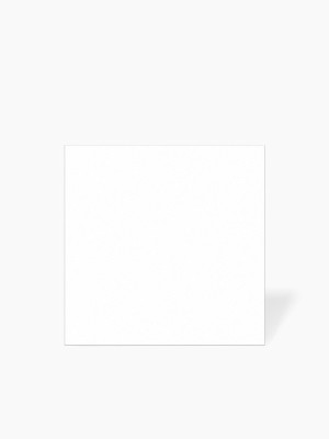 Carrelage blanc 15x15 cm grès cérame | NT2025381 