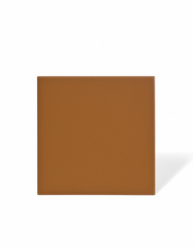 Carrelage marron uni - 15 x 15 cm | NT2025375