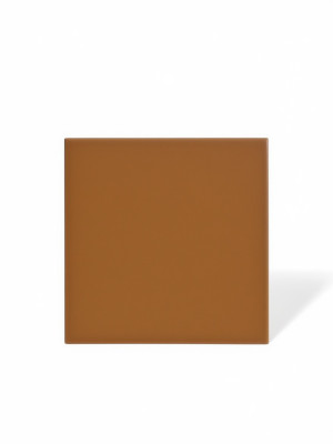 Carrelage marron uni - 15 x 15 cm | NT2025375 