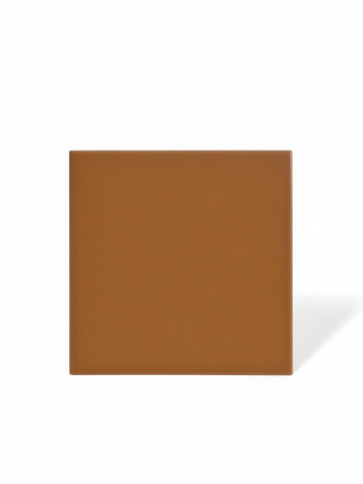 Carrelage marron uni - 15 x 15 cm | NT2025375