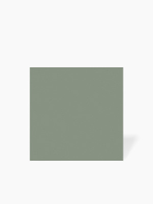 Carrelage vert clair 15x15 cm grès cérame | NT2025384 