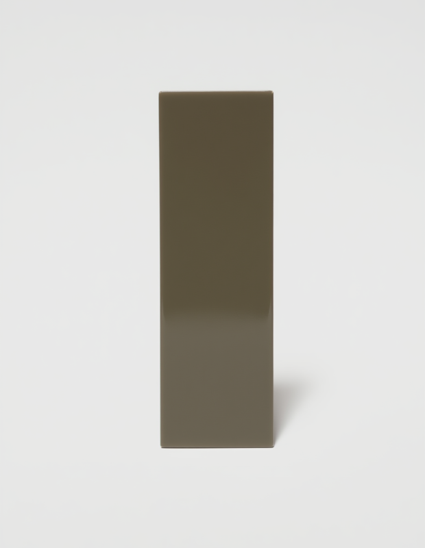 Carrelage gris uni - 6 x 25 cm | NT2025369