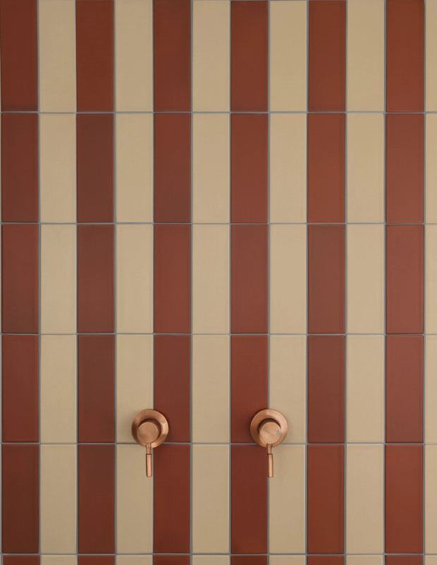 Carrelage Kromatic - Bordeaux Mat en grès cérame - 6 x 25 cm | NT2025357