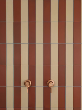 Carrelage bordeaux 6x25 cm grès cérame | NT2025357