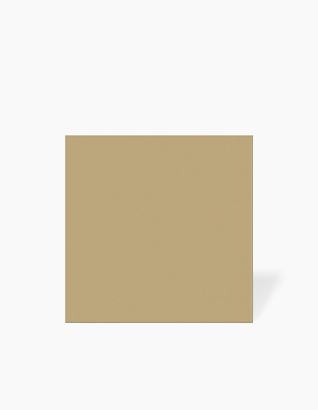 Carrelage carré grès cérame camel mat - 15x15cm | NT2025334
