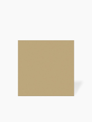 Kopie von Carrelage " Kromatik Mat "  grès cérame - Camel -  R10 - 20x20cm - NT2025261 