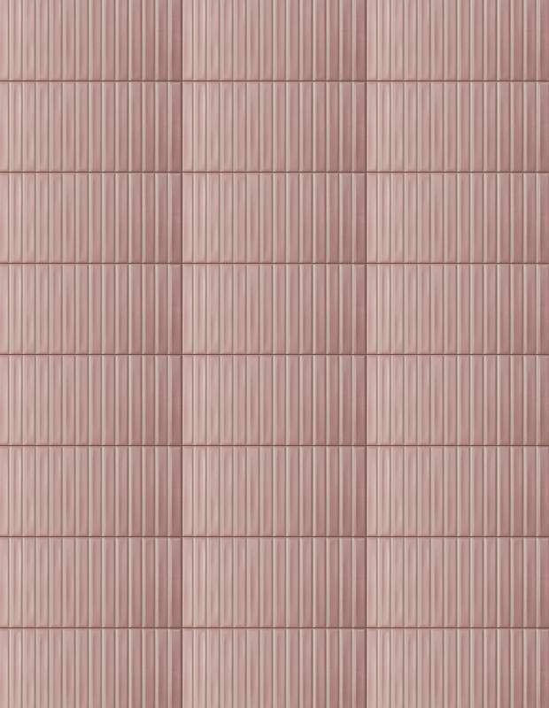 Carrelage Douceur Rose Blush Matt - 12.5x25cm - FV2702079