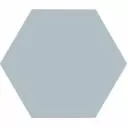Carrelage uni hexagonal bleu en grès cérame de 10 mm d'épaisseur - ME9507017