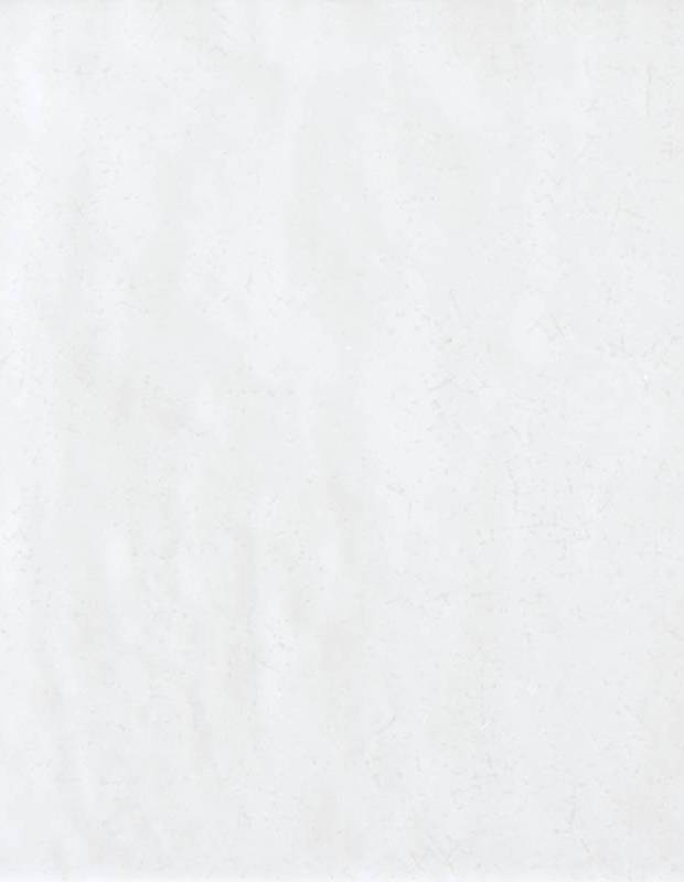 Wandfliese weiß handgearbeiteter Stil 15 × 15 cm - TR3504001