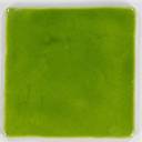 Handgearbeitete Fliese 10 × 10 Typ emaillierte Terrakotta CE1406126