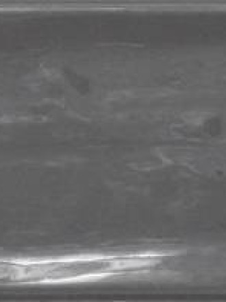 Gehämmerte Fliese 7,5 × 30 cm - LU7404042