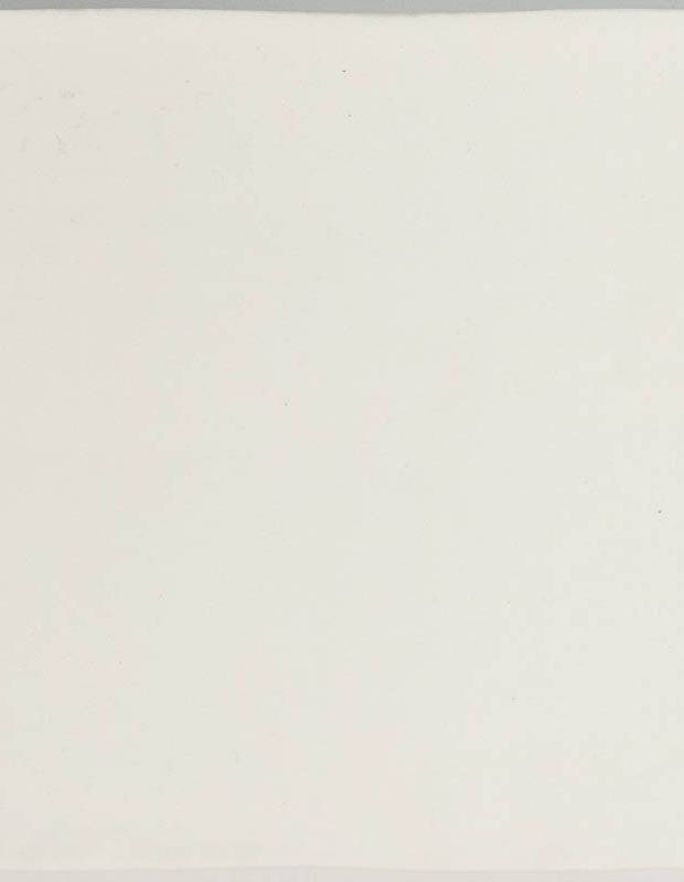 Zellij weiß matt handwerklicher Stil 12,5 × 12,5 cm - ZE5901001