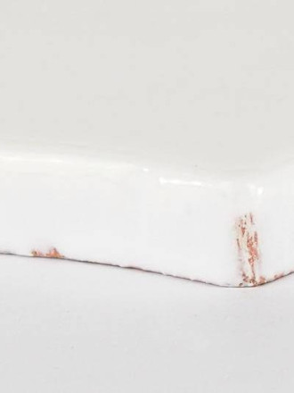 Carreau de style art déco carrelage écaille coloris blanc