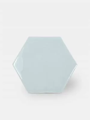 Carrelage hexagonal mural tomette artisanale - CE1406043