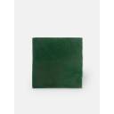 Carrelage mural ancien brillant vert 10 x 10 cm - PR0809026