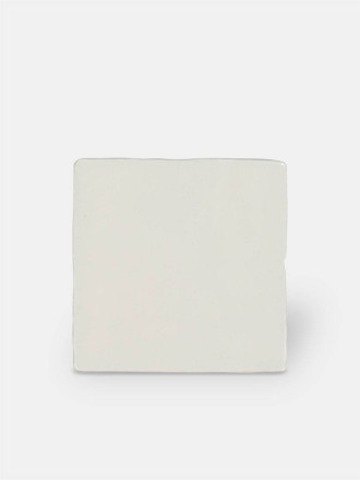 Carrelage monochrome - ZI0802005