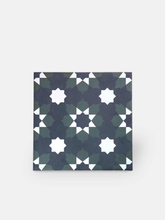 Carrelage 20x20 Andalou - AN9902001