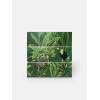 Kollektion Jungle exotischer moderner Stil