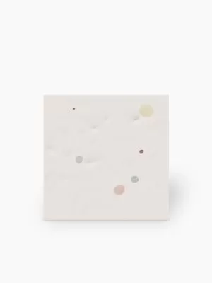 BERTA 20x20