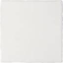 Carrelage mural ancien brillant blanc 10 x 10 cm - PR0809019